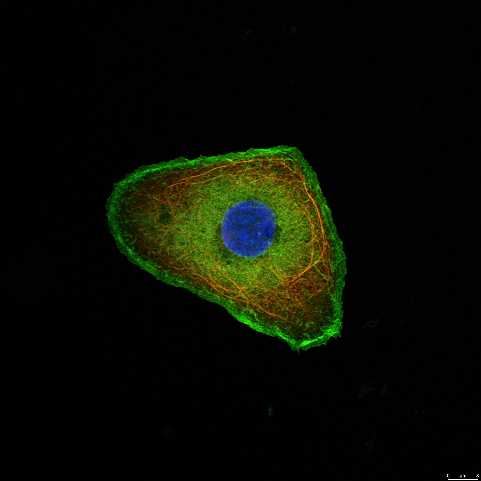 imgi_14_Treinamento-17.09.2019_5_b15