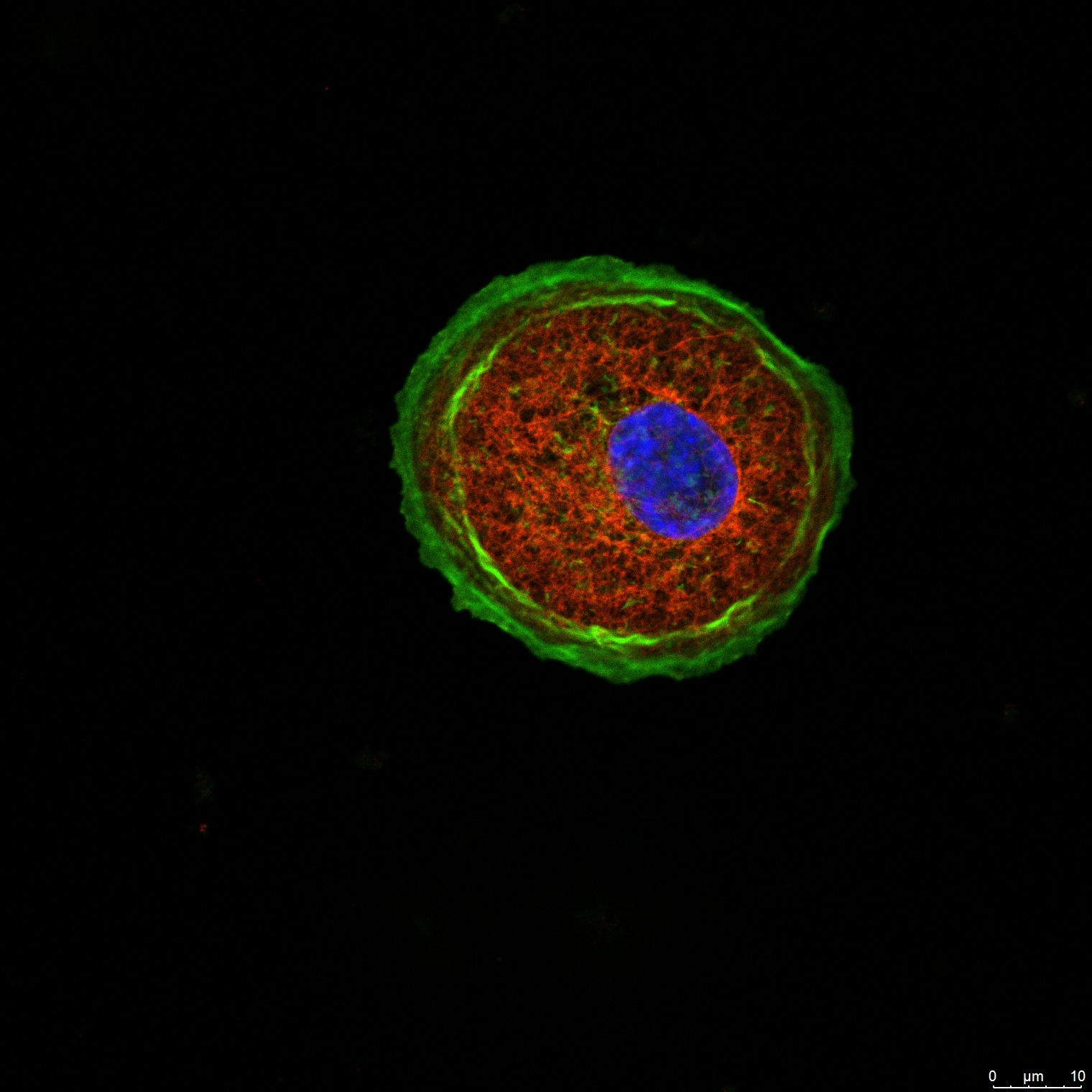 imgi_9_Treinamento-17.09.2019_5_b17